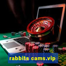 rabbits cams.vip